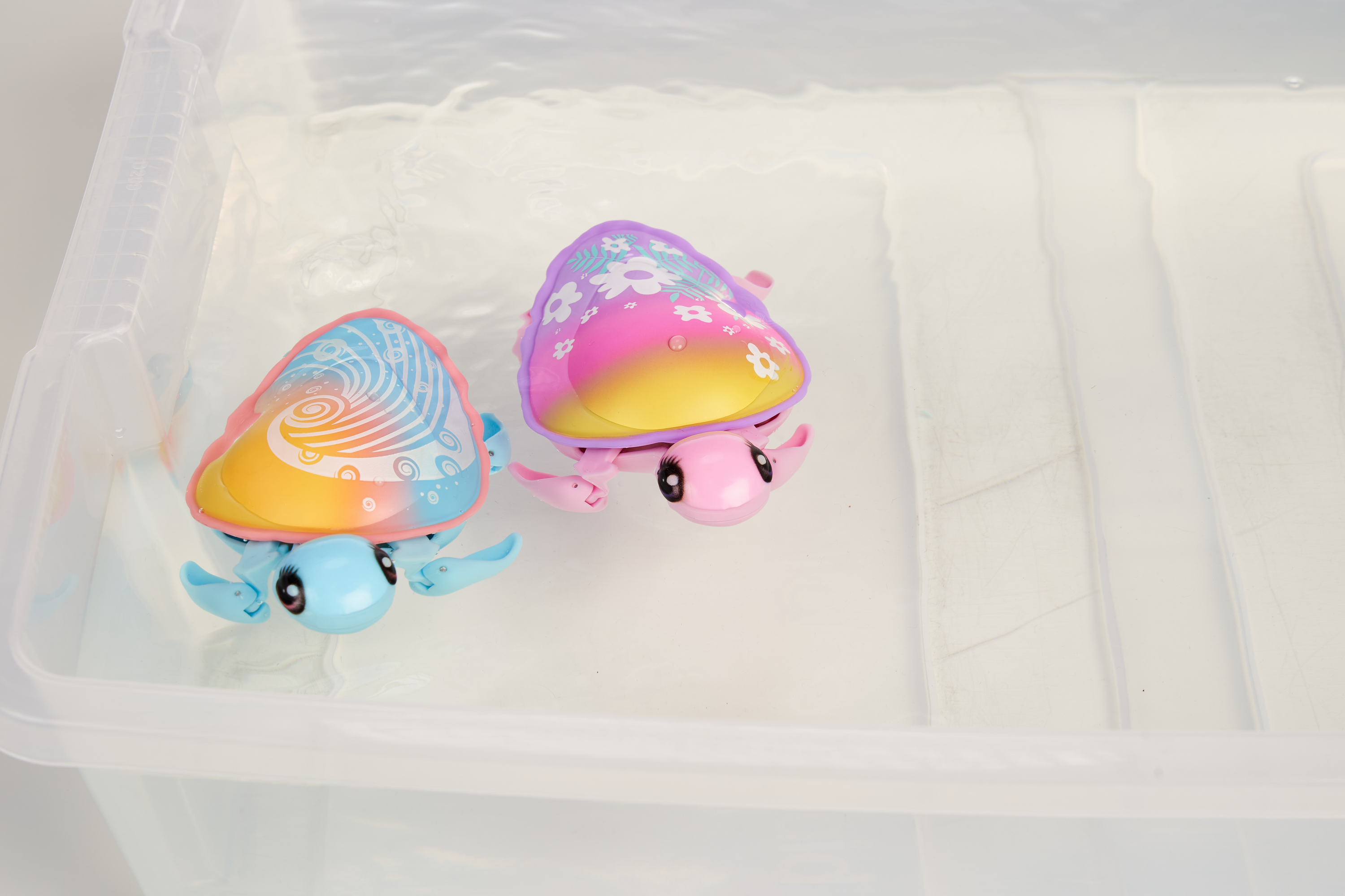 Little Live Pets Lil' Turtle Single Pack - Rip Swirl