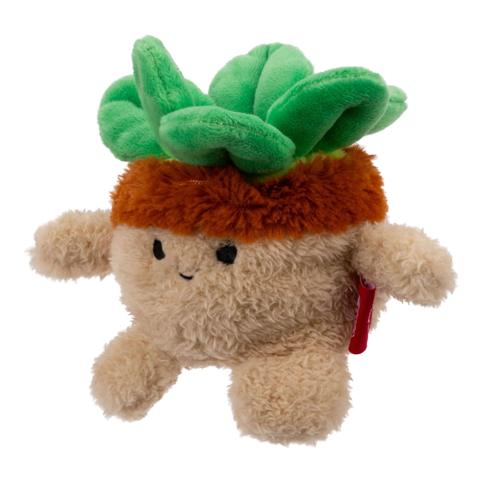 BumBumz Succulent Stu 4.5" Plush Toy