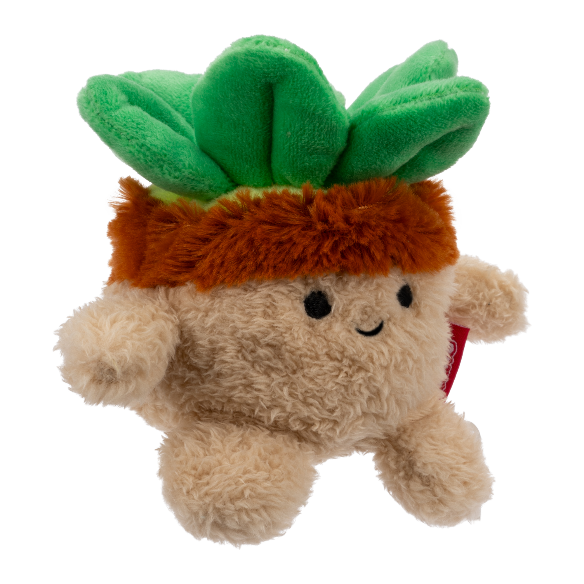 BumBumz Succulent Stu 4.5" Plush Toy